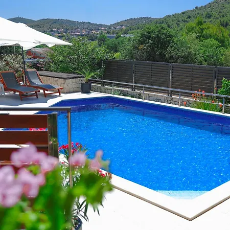 Salvia Mare * ביליצה